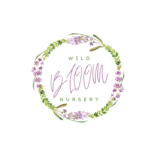 Wild Bloom Nursery