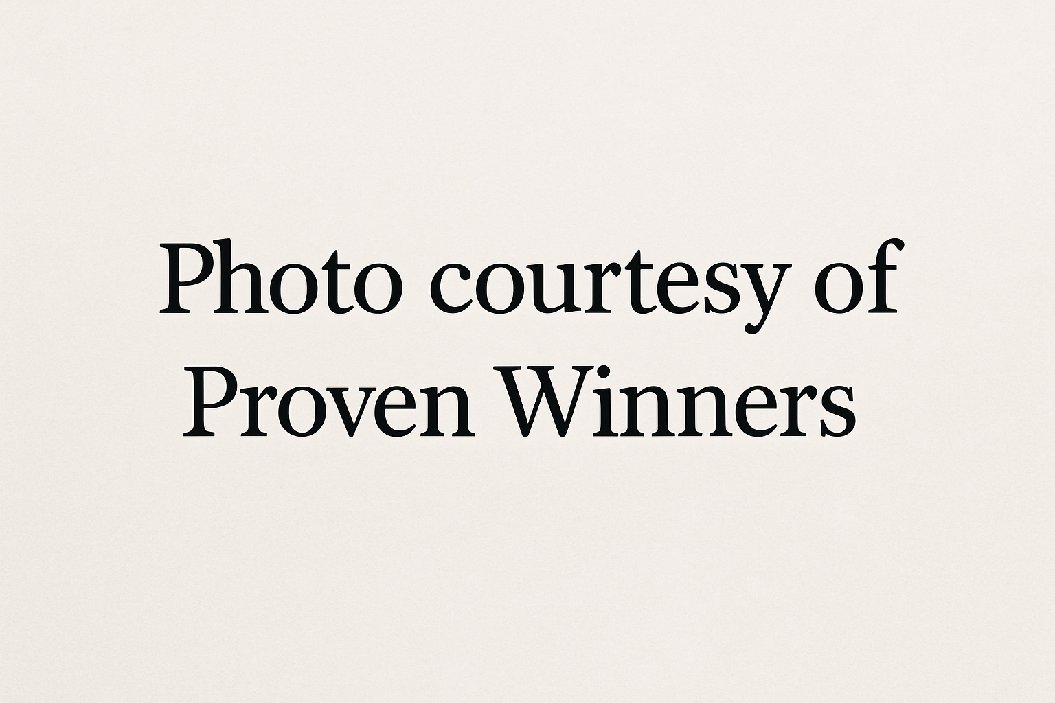 display the words 'Photo courtesy of Proven Winners"